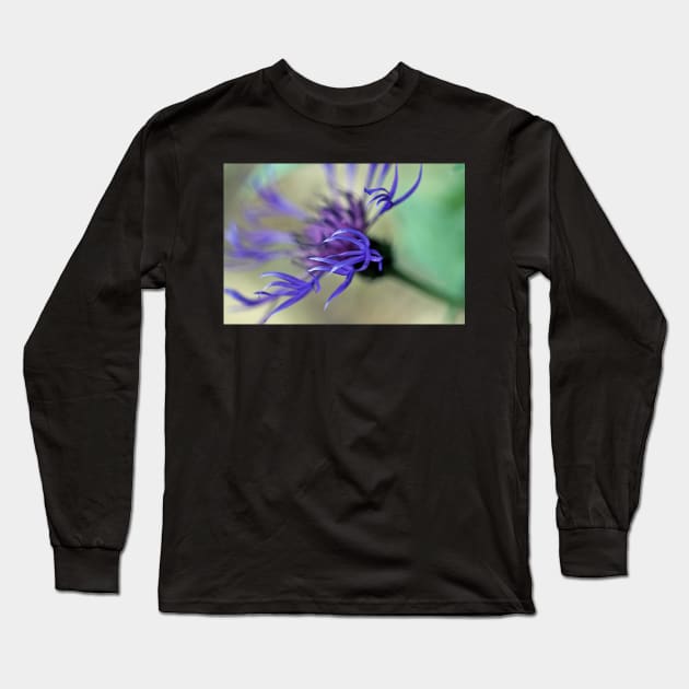 Cornflower Tendrils Long Sleeve T-Shirt by gracethescene